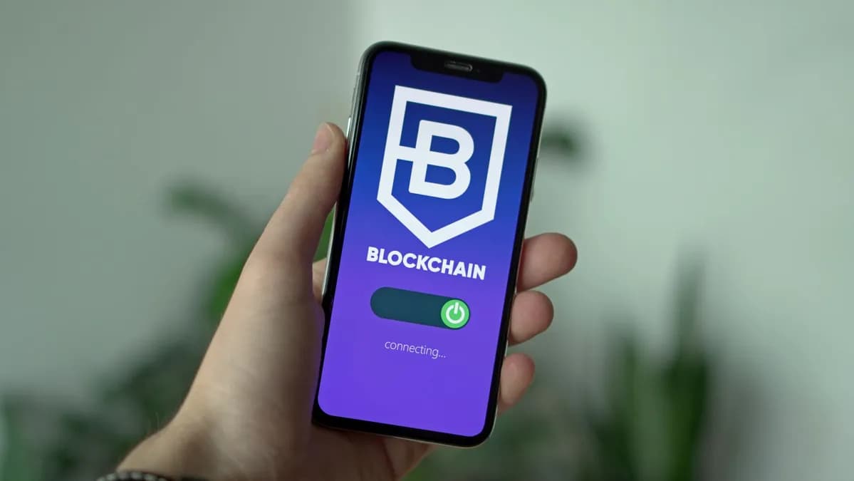 L'écosystème Solana en 2026 : DeFi, NFT, memecoins et infrastructure