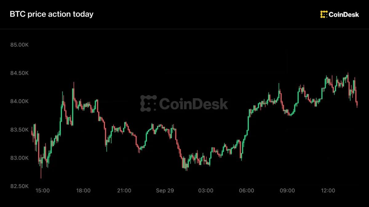 John Williams signale « pas d’urgence » : Bitcoin glisse alors que le taux à deux ans chute à 4,88 %